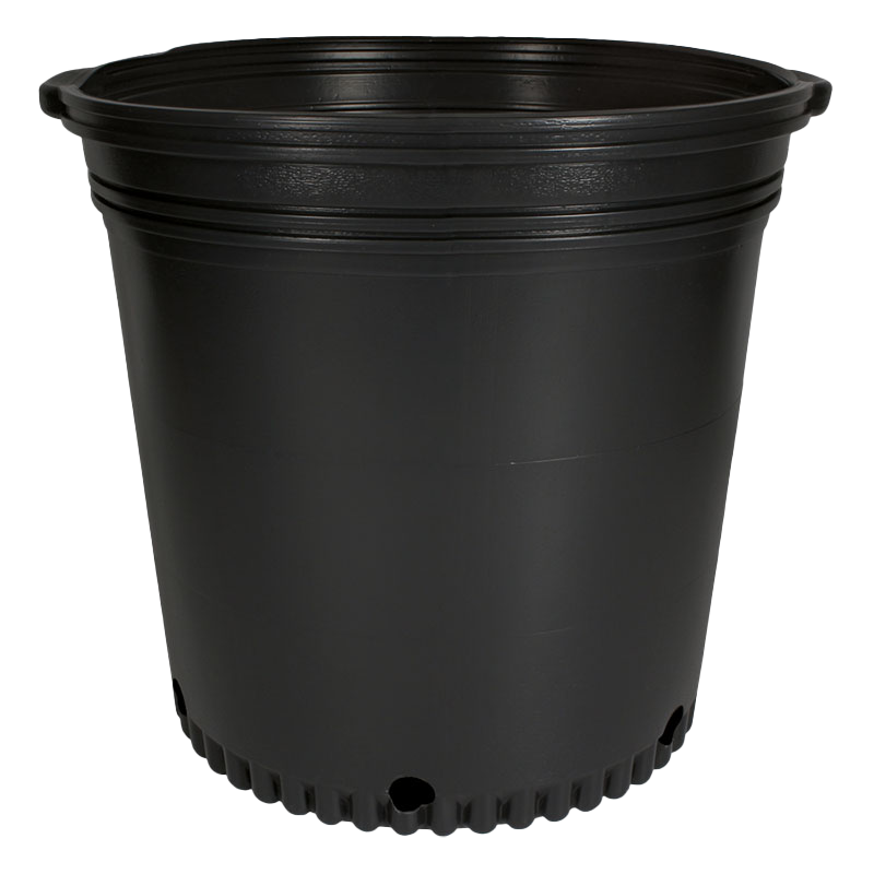 7 Gallon Whiteridge Nursery Pot Black – 25 per sleeve - Nursery Containers